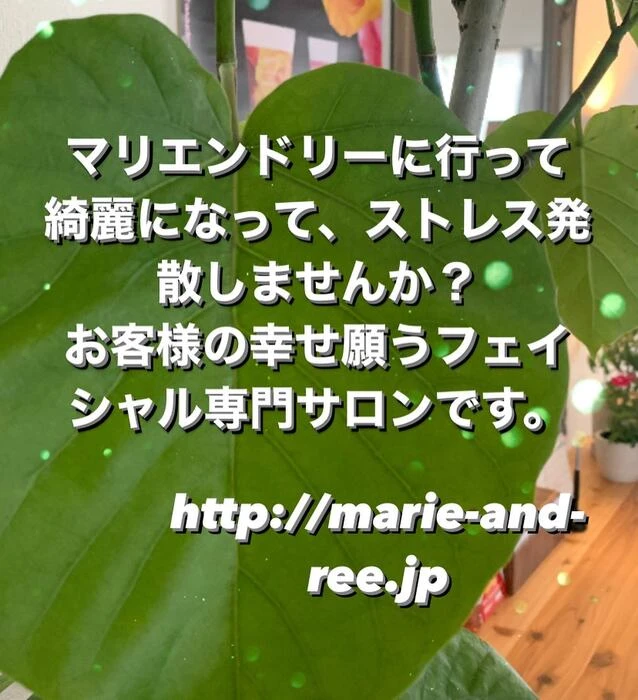 画像307