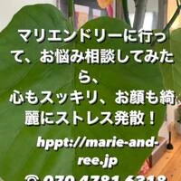 画像311