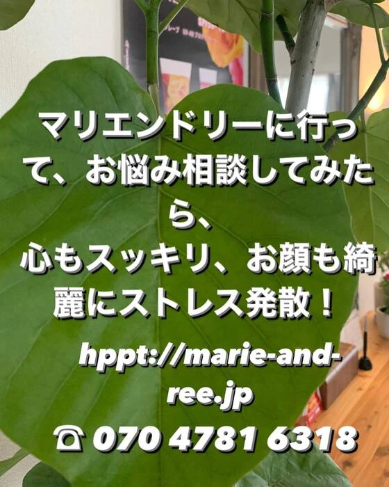 画像311