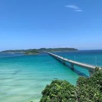 画像313
