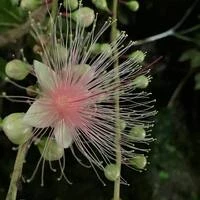 画像318