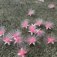 画像323