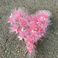 画像324