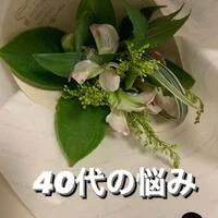 画像336