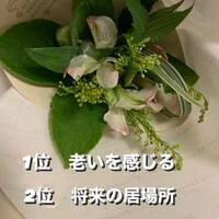 画像337