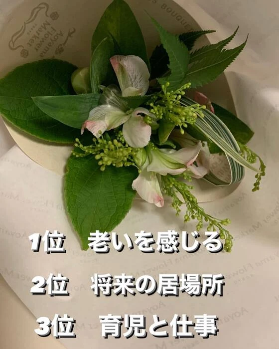 画像337