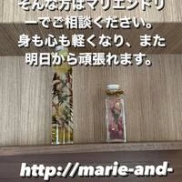 画像338