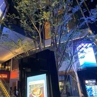画像343