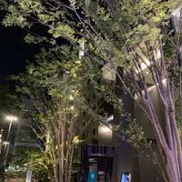 画像345