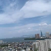 画像419