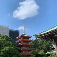 画像422