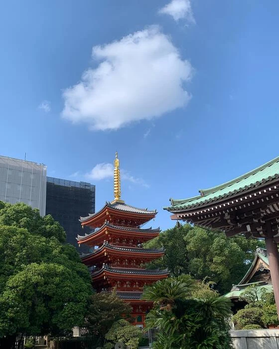 画像422