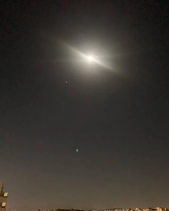 画像437
