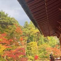 画像446