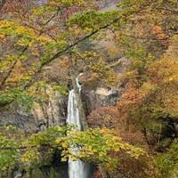 画像448