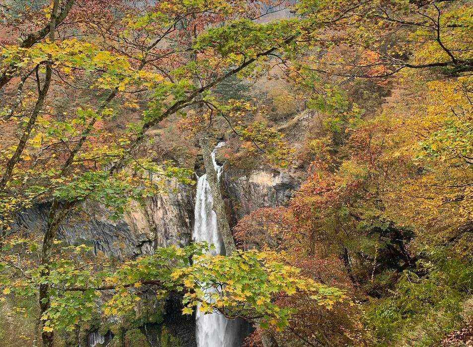 画像448