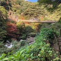 画像468