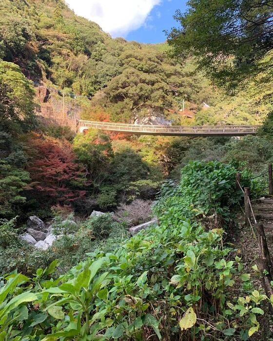 画像468