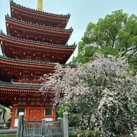 画像661