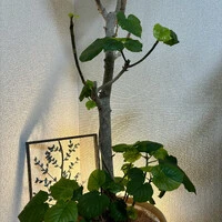 画像671