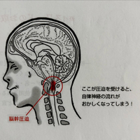 画像906